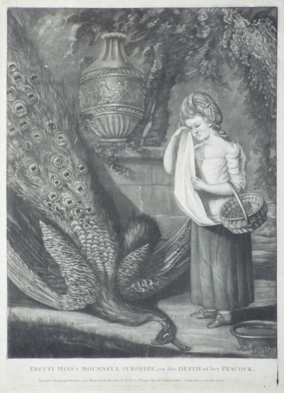 Mezzotint - Pretty Miss's Mournful Surprize on the Death of her Peacock.